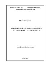 Luận án Nghiên cứu chọn tạo giống lúa Kháng Rầy Nâu với sự trợ giúp của chỉ thị phân tử