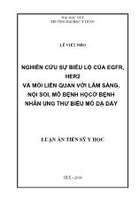 Luận án Nghiên cứu sự biểu lộ của EGFR, HER2 và mối liên quan với lâm sàng, nội soi, mô bệnh học ở bệnh nhân ung thư biểu mô dạ dày