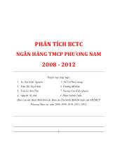 Phân tích báo cáo tài chính ngân hàng TMCP Phương Nam 2008-2012