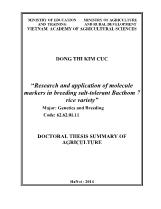 Research and application of molecule markers in breeding salt-Tolerant Bacthom 7 rice variety