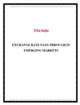 Tiểu luận Exchange rate pass-Through in emerging markets