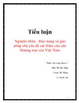 Tiểu luận Nguyên nhân, thực trạng và giải pháp chủ yếu để cải thiện cán cân thương mại của Việt Nam