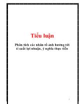 Tiểu luận Phân tích các nhân tố ảnh hưởng tới tỉ suất lợi nhuận, ý nghĩa thực tiễn