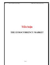 Tiểu luận The eurocurrency market