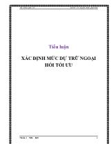 Tiểu luận Xác định mức dự trữ ngoại hối tối ưu