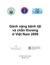 Gánh nặng bệnh tật và chấn thương ở Việt Nam 2008