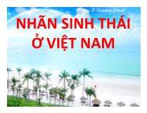 Nhãn sinh thái ở Việt Nam