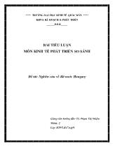 Đề tài Nghiên cứu về đất nước Hungary