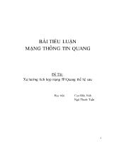 Đề tài Xu hướng tích hợp mạng IP/Quang thế hệ sau