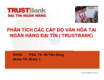 Phân tích các cấp độ văn hóa tại ngân hàng đại tín (trustbank)