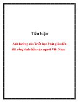 Tiểu luận Ảnh hưởng của Triết học Phật giáo đến đời sống tinh thần của người Việt Nam