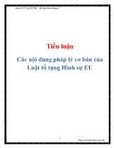 Tiểu luận Các nội dung pháp lý cơ bản của luật tố tụng hình sự EU