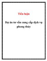 Tiểu luận Dự án tư vấn cung cấp dịch vụ phong thủy