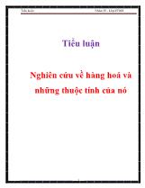 Tiểu luận Nghiên cứu về hàng hoá và những thuộc tính của nó