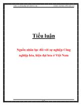 Tiểu luận Nguồn nhân lực đối với sự nghiệp Công nghiệp hóa, hiện đại hóa ở Việt Nam