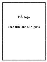 Tiểu luận Phân tích kinh tế Nigeria