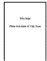 Tiểu luận Phân tích kinh tế Việt Nam