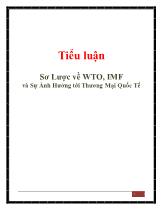 Tiểu luận Sơ lược về WTO, IMF và sự ảnh hưởng tới thương mại quốc tế