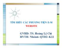 Tìm hiểu các phương tiện E-M website