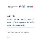 Báo cáo Năng lực hội nhập kinh tế quốc tế các địa phương tiếp giáp với CHDCND Lào