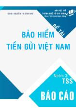 Bảo hiểm tiền gửi Việt Nam