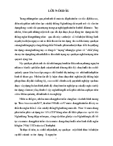 Đề tài Nợ quá hạn và những giải pháp nhằm ngăn ngừa, hạn chế và xử lý nợ quá hạn trong kinh doanh tín dụng của các ngân hàng thương mại