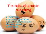 Tìm hiểu về protein của trứng