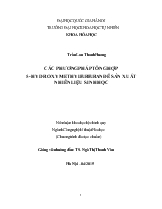 Các phương pháp tổng hợp 5-Hydroxymethylfurfuran để sản xuất nhiên liệu sinh học