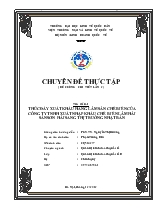 Chuyên đề Thúc đẩy xuất khẩu hàng lâm sản chế biến của công ty TNHH xuất nhập khẩu chế biến lâm hải sản sơn hải sang thị trường Nhật Bản