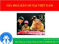 Già hóa dân số tại Việt Nam