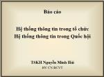 Hệ thống thông tin trong tổ chức, Hệ thống thông tin trong Quốc hội