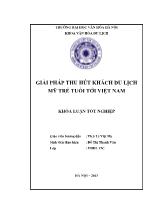 Khóa luận Giải pháp thu hút khách du lịch Mỹ trẻ tuổi tới Việt Nam