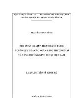 Luận án Mối quan hệ giữa hiệu quả sử dụng nguồn lực của các ngân hàng thương mại và tăng trưởng kinh tế tại Việt Nam