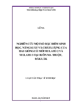 Luận văn Nghiên cứu một số đặc điểm sinh học, năng suất và chất lượng của hai giống cỏ mới mulato 2 và mulato 3 tại Buôn Ma Thuột, Đắk Lắk