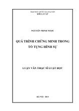 Tóm tắt luận văn Quá trình chứng minh trong tố tụng hình sự