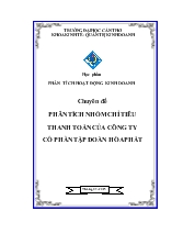 Chuyên đề Phân tích nhóm chỉ tiêu thanh toán của công ty cổ phần tập đoàn Hòa Phát