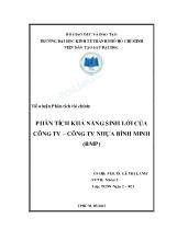 Đề tài Phân tích khả năng sinh lời của công ty – công ty nhựa bình minh (BMP)