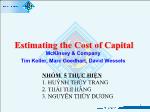 Estimating the Cost of Capital