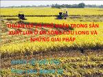 Thuận lợi và khó khăn trong sản xuất lúa ở Đồng bằng sông Cửu Long và những giải pháp