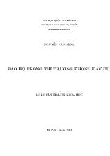 Luận văn Bảo hộ trong thị trường không đầy đủ