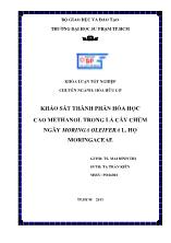 Khóa luận Khảo sát thành phần hóa học cao Methanol trong lá cây chùm ngây Moringa oleifera L. họ Moringaceae