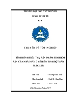 Khóa luận Tình hình tiêu thụ sản phẩm tinh bột sắn của nhà máy chế biến tinh bột sắn Đăk Lăk