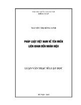 Luận văn Pháp luật Việt Nam về tên miền liên quan đến nhãn hiệu