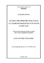 Luận văn Tổ chức phi chính phủ nước ngoài và vấn đề bảo đảm quyền con người ở Việt Nam