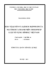 Tóm tắt Luận án Bảo vệ quyền và lợi ich hợp pháp của người chưa thanh niên theo pháp luật tố tụng hình sự Việt Nam