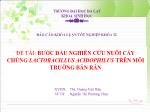 Đề tài Bước đầu nghiên cứu nuôi cấy chủng lactobacillus acidophilus trên môi trường bán rắn