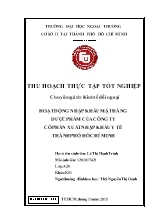 Đề tài Hoạt động nhập khẩu mặt hàng dược phẩm của công ty cổ phần xuất nhập khẩu y tế thành phố Hồ Chí Minh