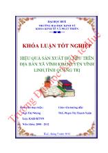 Hiệu quả sản xuất hồ tiêu trên địa bàn xã Vĩnh kim, huyện Vĩnh linh, tỉnh Quảng Trị