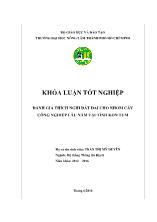 Khóa luận Đánh giá thích nghi đất đai cho nhóm cây công nghiệp lâu năm tại tỉnh Kon Tum