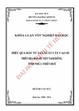 Khóa luận Hiệu quả đầu tư sản xuất cây cao su trên địa bàn huyện Nam đông tỉnh Thừa Thiên Huế